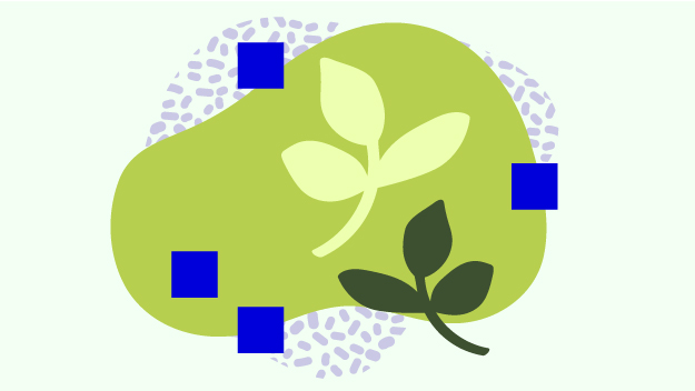 Achtung, Tiere im Museum!